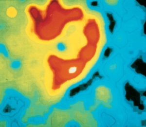 Azprensa. Imag�n de tejido celular card�aco 