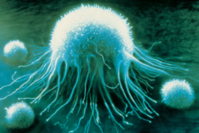 Astra Zeneca. Simulaci�n c�lula cancerosa.