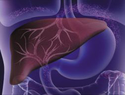 Azprensa. Higado y estomago.