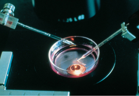 Astra Zeneca. Manipulaci�n celular.