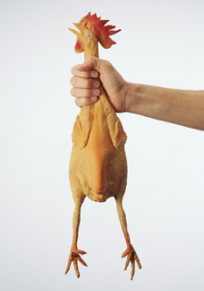 Mano sosteniendo un gallo desplumado