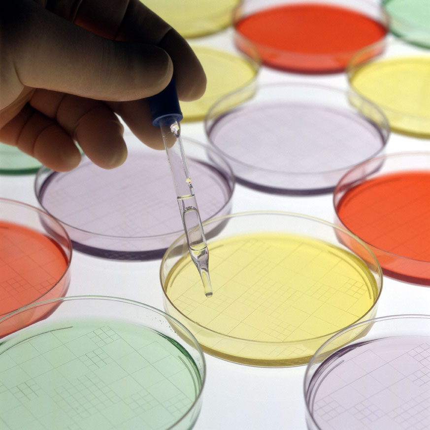 Muestras an�lisis laboratorio