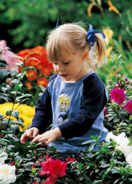Azprensa. Ni�a en un macizo de flores de colores.