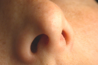 Nariz. Fotografia cedida por el Centro Nacional de Informaci�n y Comunicaci�n Educativa http://recursos.cnice.mec.es/bancoimagenes2/buscador/index.php